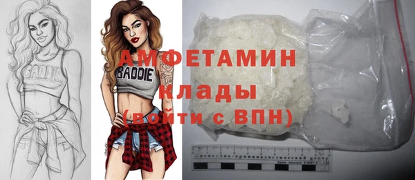 индика Бугульма