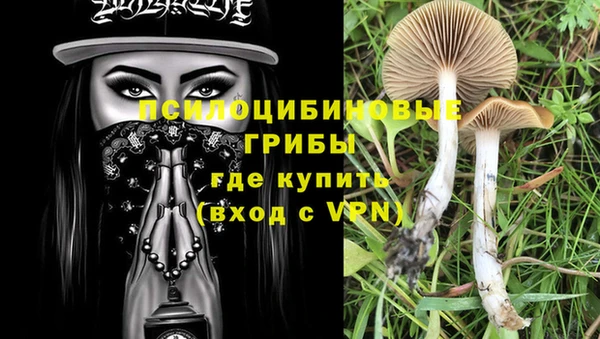 а пвп мука Сясьстрой