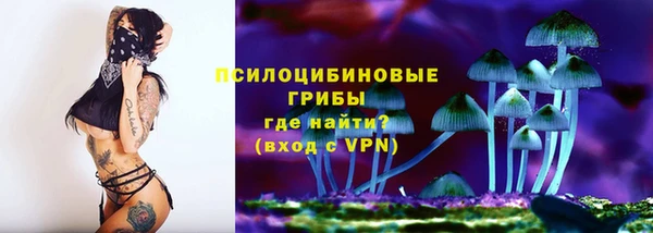 мяу мяу мука Горнозаводск