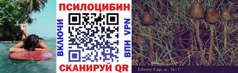 как найти закладки Ермолино Псилоцибиновые грибы Psilocybine cubensis